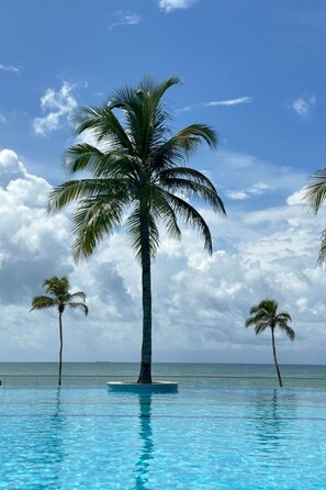 Ein klarer, blauer Himmel, im Vordergrund eine Palme und im Hintergrund ein Schwimmbecken.