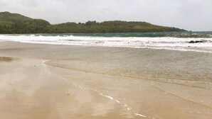Une plage avec un rivage sablonneux et des vagues.