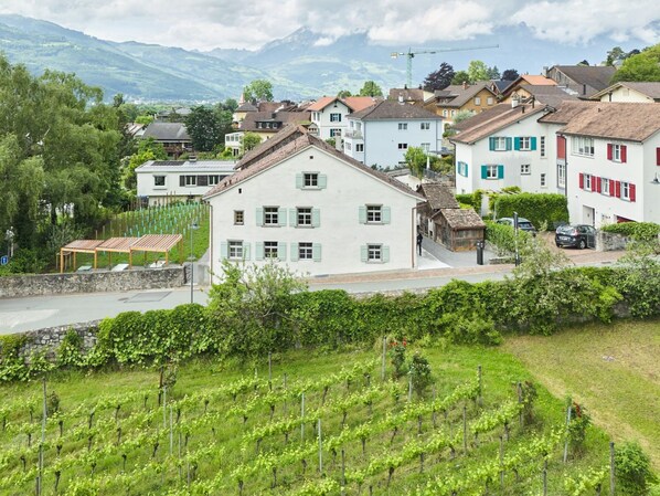 Un vignoble avec des rangées de vignes et un bâtiment blanc doté de nombreuses fenêtres et d’un balcon.