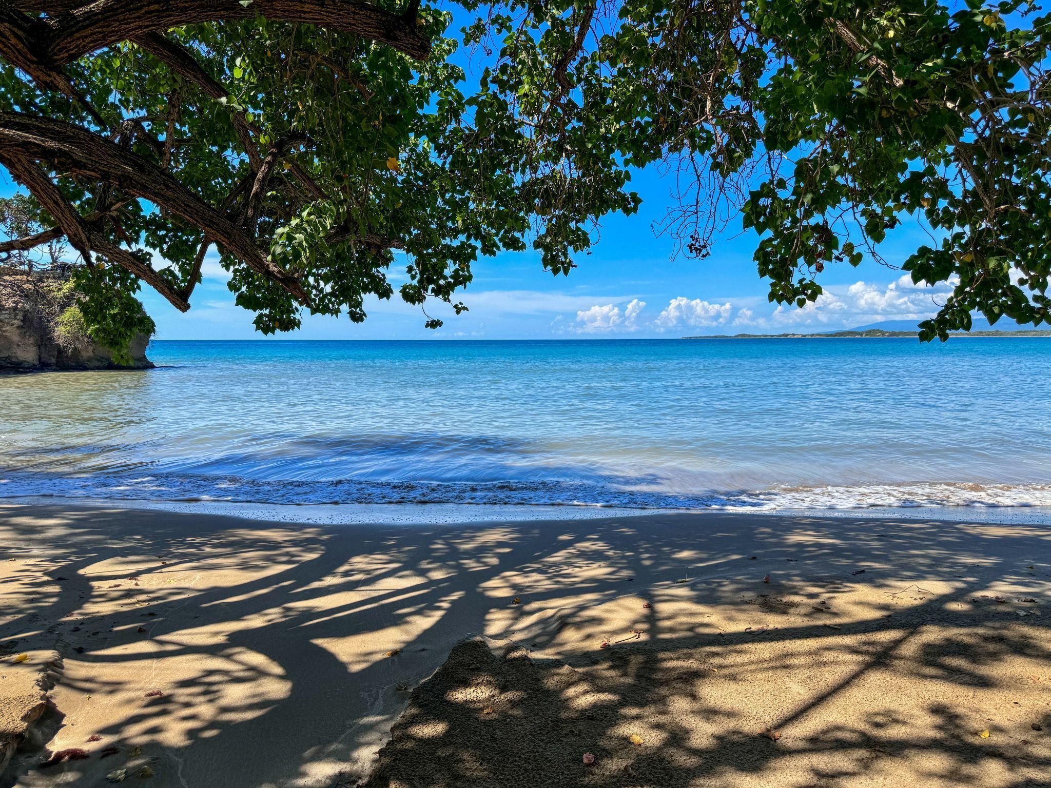 Ein Strand mit klarem, blauem Wasser, sandigem Ufer und einem Baum, der Schatten spendet.