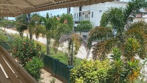 Un espacio al aire libre cubierto, con suelo de hormigón, rodeado de plantas variadas y una reja metálica.