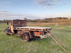 Immagine non classificata, 4 di 26, pulsante