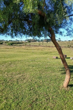Nicht klassifiziertes Bild, 3 von 26, Schaltfläche