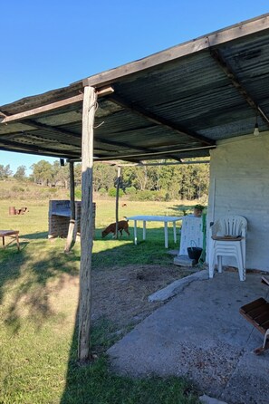 Imagem sem classificação, 5 de 26, botão