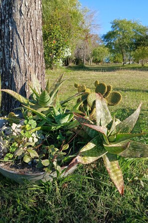 Imagem sem classificação, 2 de 26, botão