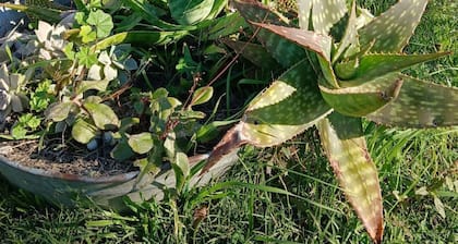 Landhaus Lavendel by Interhome