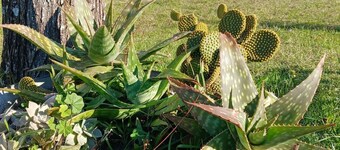 Landhaus Lavendel by Interhome