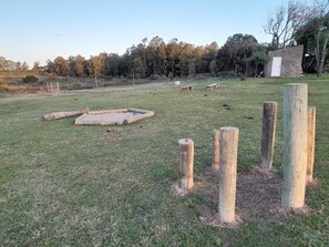 Immagine non classificata, 3 di 26, pulsante