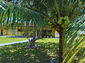 Chalet | Property grounds