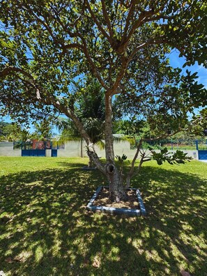 Chalet Confort | Áreas de la propiedad