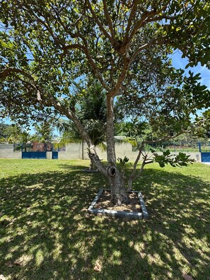 Chalet | Áreas de la propiedad