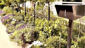 Un jardin agrémenté de diverses plantes et doté d’une structure métallique.