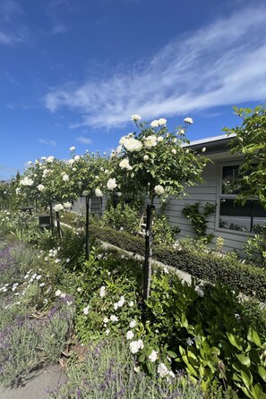 Exterior detail - Lyttelton Boatique House by Interhome (Lyttelton)