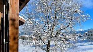 A snow-covered tree in front of a building with a wooden exterior. - Nature Escape in Aeschi – Close to Interlaken (Aeschi bei Spiez)