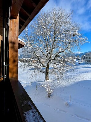 Luokittelematon kuva, 4 kautta 65, painike