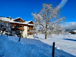 Luokittelematon kuva, 2 kautta 65, painike