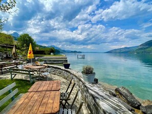 Unclassified image, 4 of 55, button