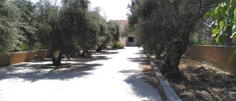 Apartment, 2 Bedrooms | Property grounds