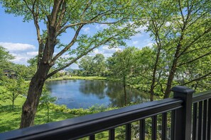 Property grounds - Holbrook House - Waterviews & Walk to Beach (Rockport)