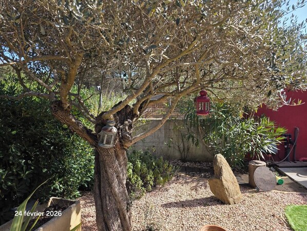 Property grounds - Spacieuse villa au calme avec grande piscine (Bormes-les-Mimosas)