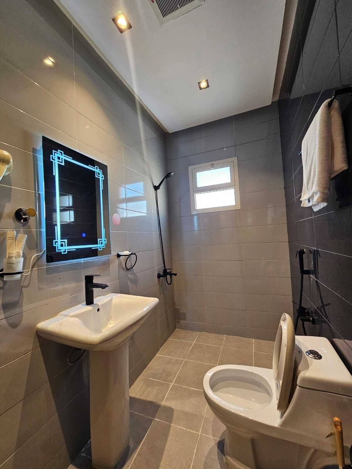 A modern bathroom with a pedestal sink, a toilet, a shower, and a wall-mounted mirror.