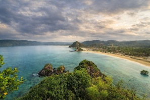 Oklassificerad bild, 5 av 30, knapp