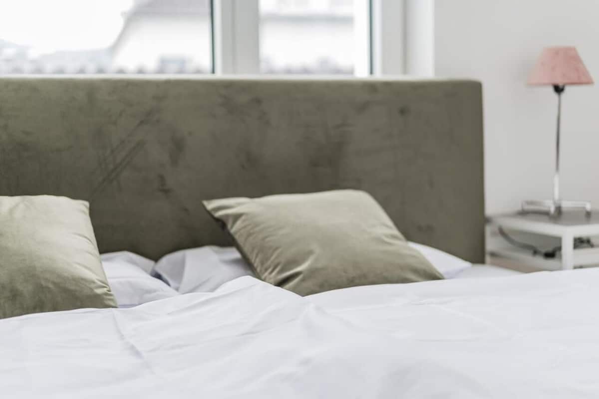 舒適公寓, 城市景觀