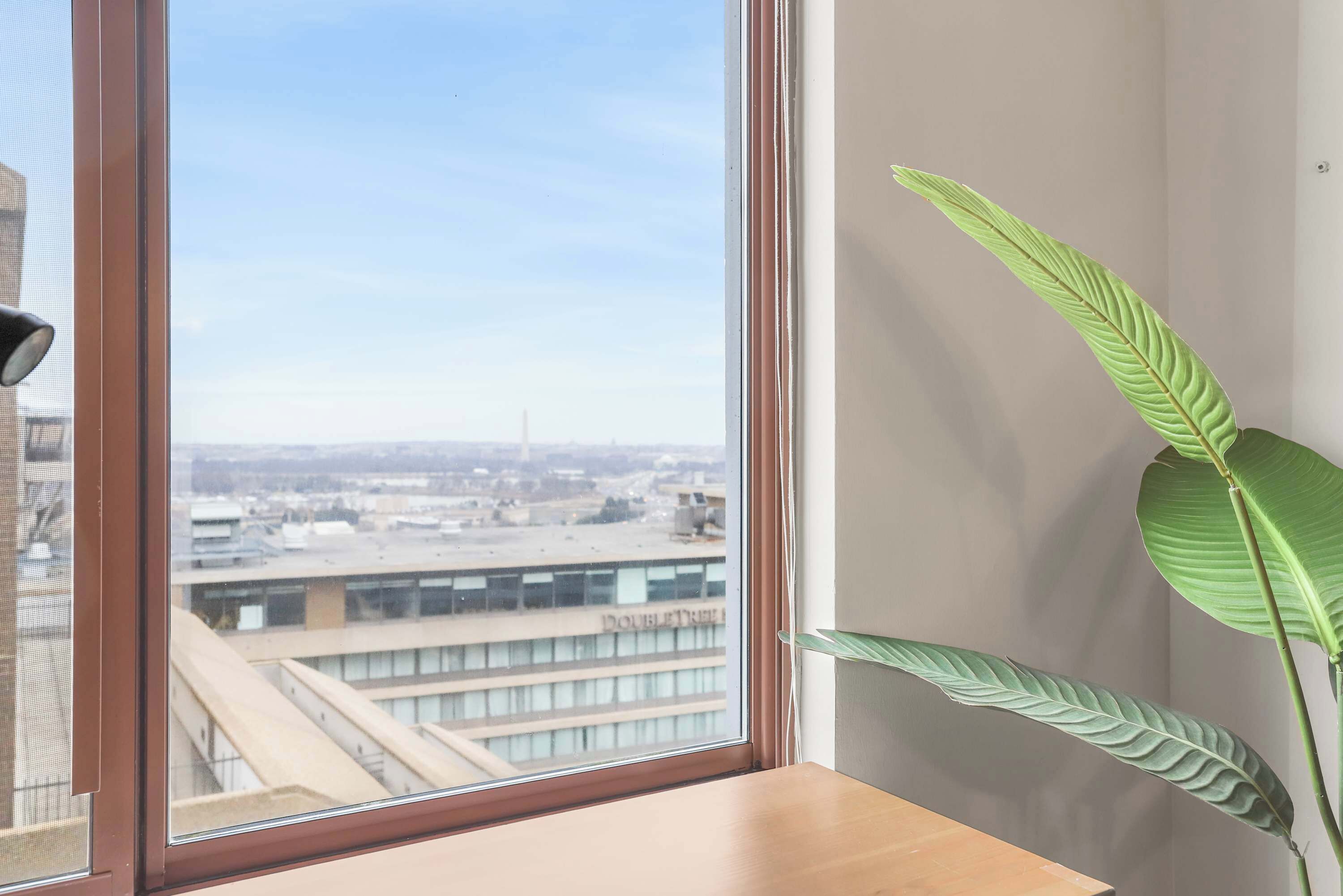 Una habitación con un ventanal grande, una mesa de madera y una planta en maceta.