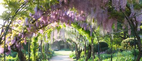 Terrain de lâhĂ©bergement