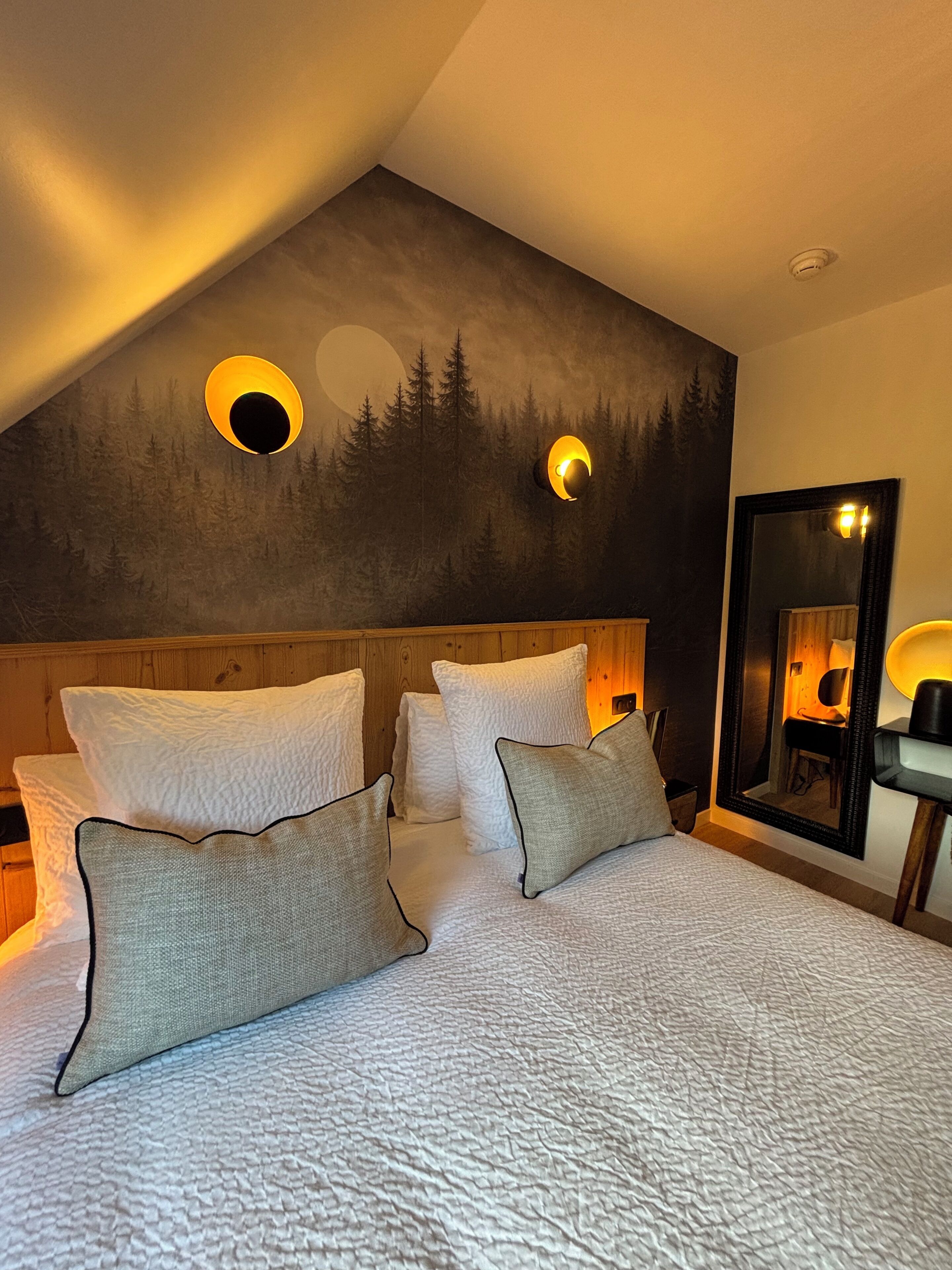 Comfort Double Room, Non Smoking, Pets allowed