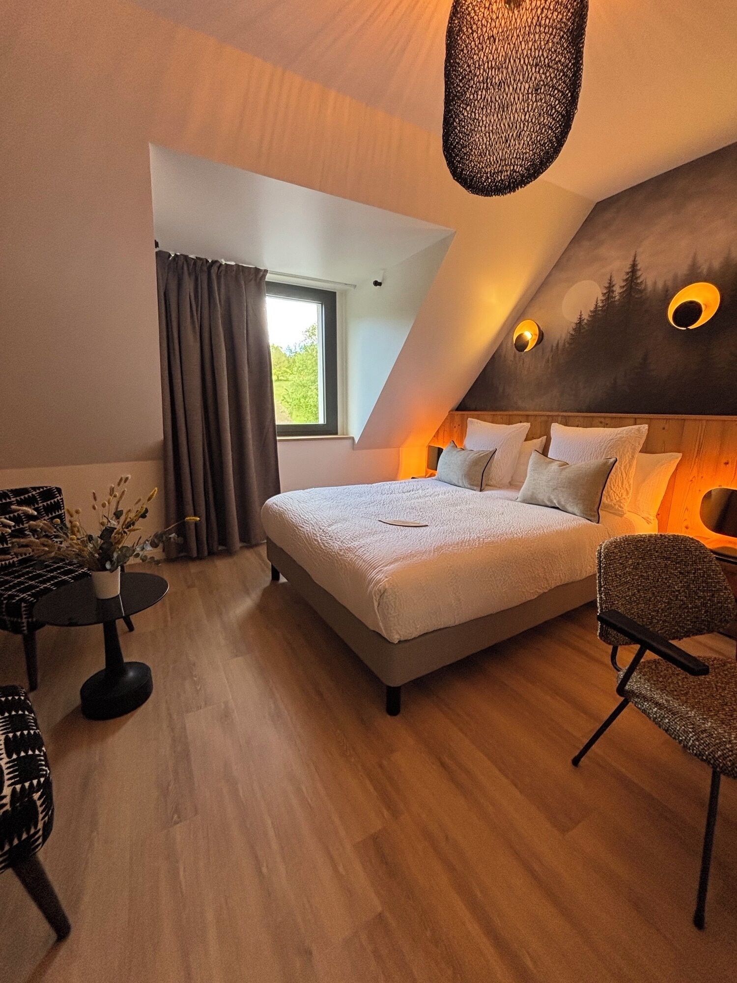 Comfort Double Room, Non Smoking, Pets Allowed