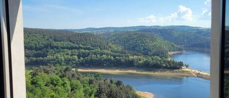 A window view of a forested landscape with a lake and a beach.