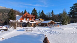 Billede uden beskrivelse, 4 af 17, knap