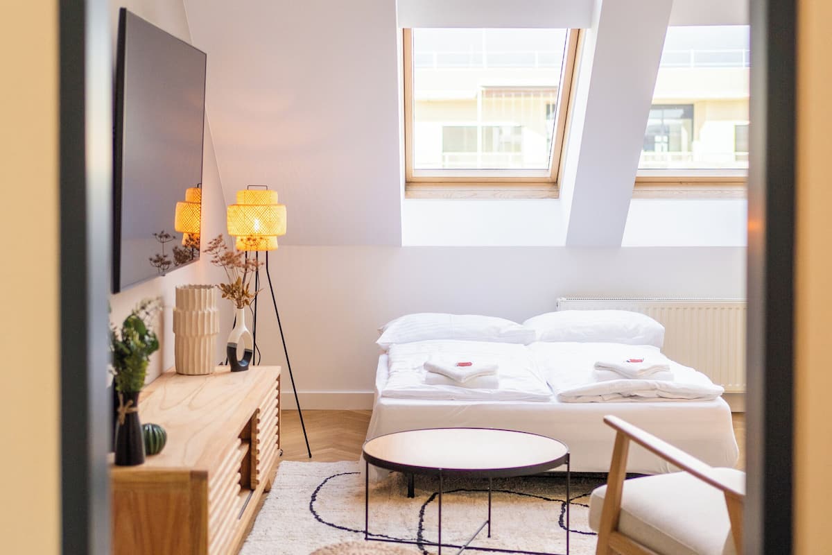 Appartement, 1 grand lit et 1 canapé-lit, cuisine, vue ville | Rideaux occultants, fer et planche à repasser, Wi-Fi gratuit