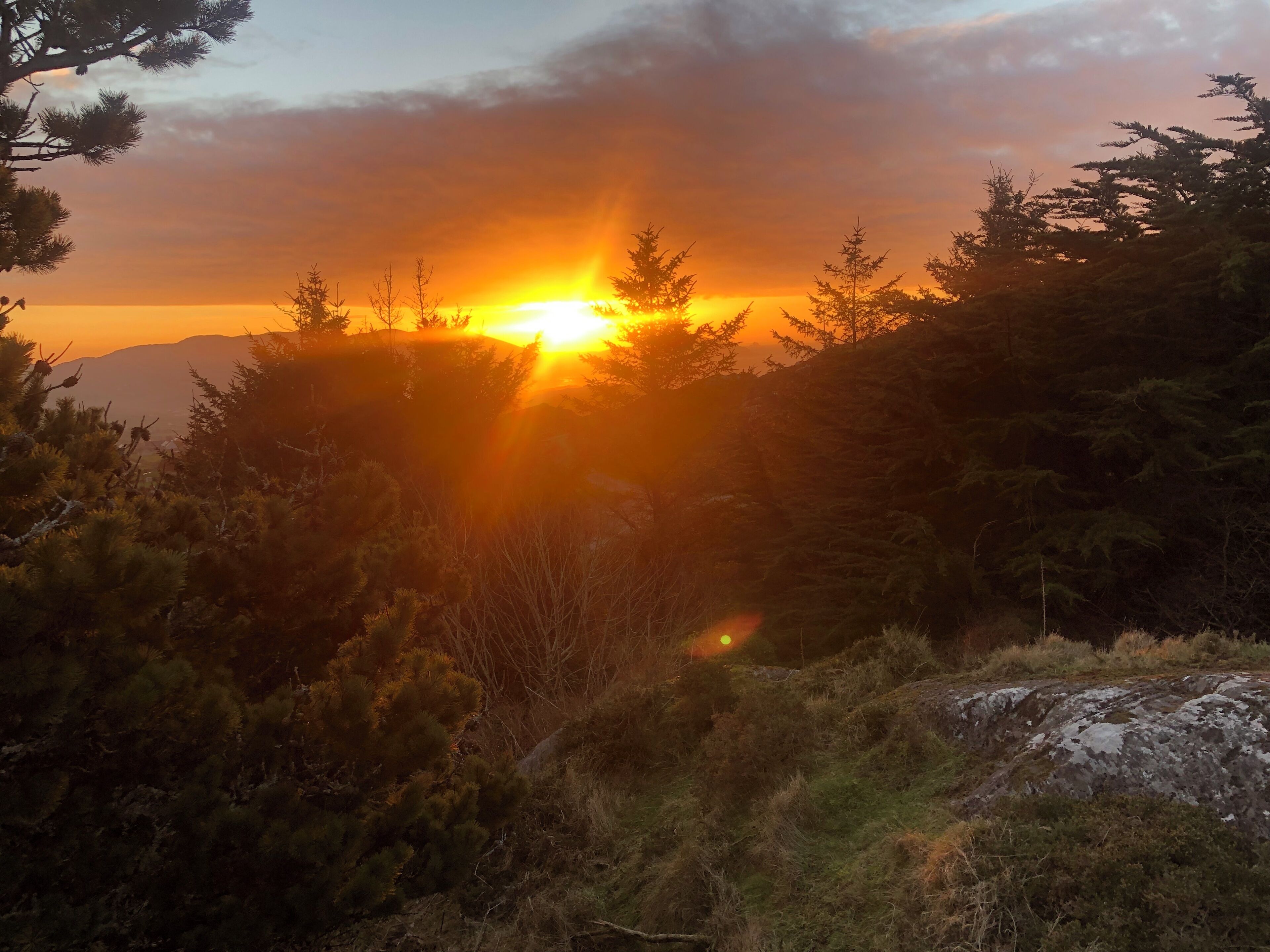 A sunset over a mountainous landscape with dense forest.