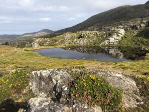 Imagen sin descripción, 4 de 22, botón