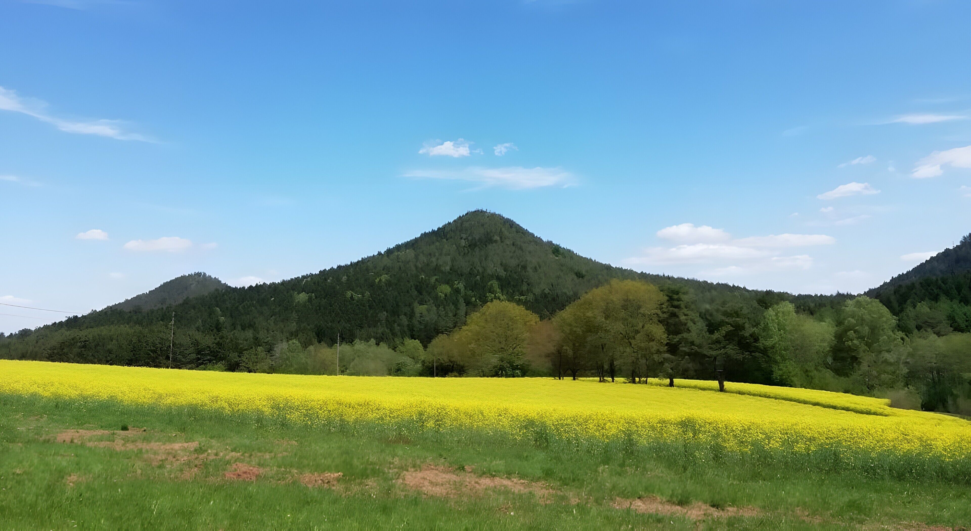 Un paysage de montagne avec un champ de fleurs jaunes au premier plan.