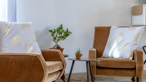 Ein Zimmer mit zwei braunen Sesseln, einem kleinen runden Tisch, einer Topfpflanze und einem an der Wand befestigten Regal.