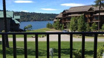 Terrain de l’hébergement