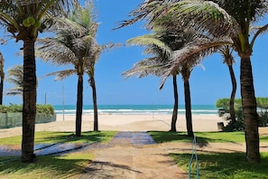 A pathway leading to a beach with palm trees and a clear view of the ocean.