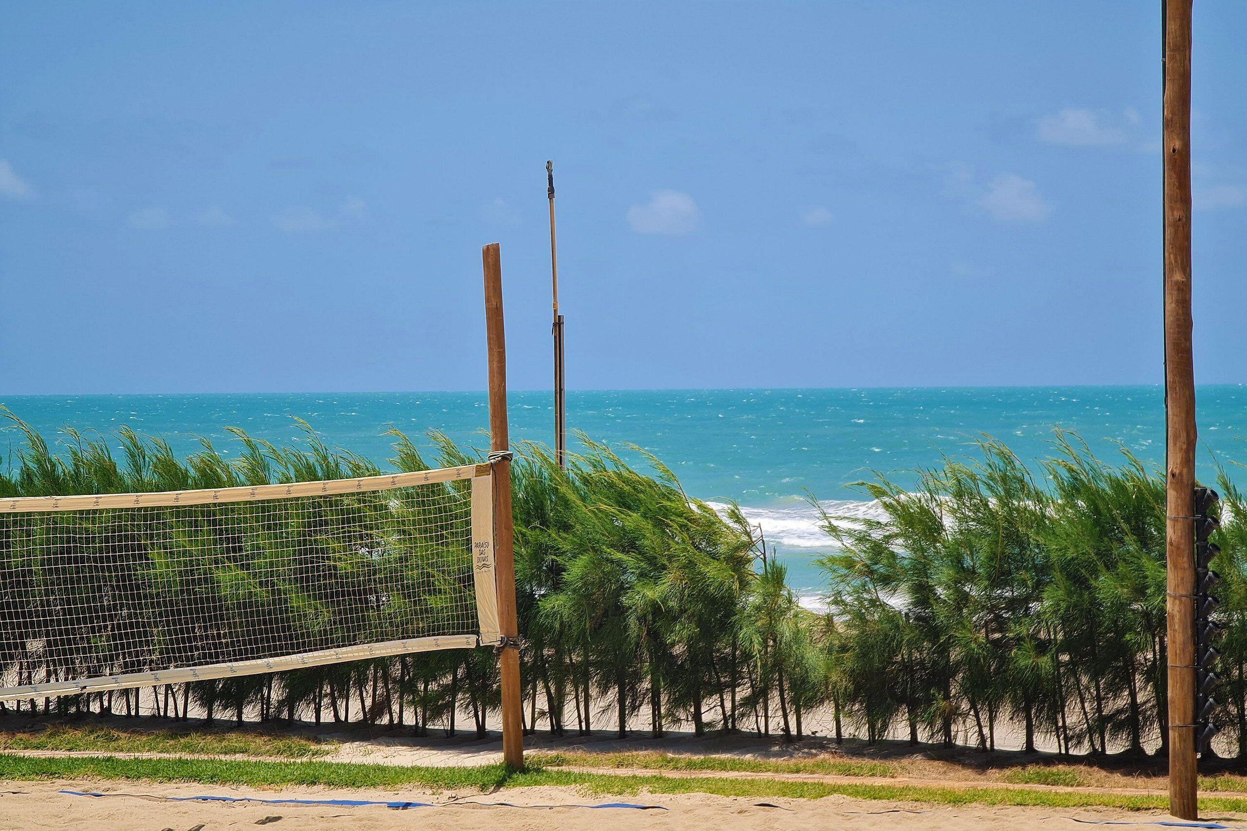 A beach volleyball net with a wooden post and a metal pole, surrounded by palm trees and the ocean in the background.