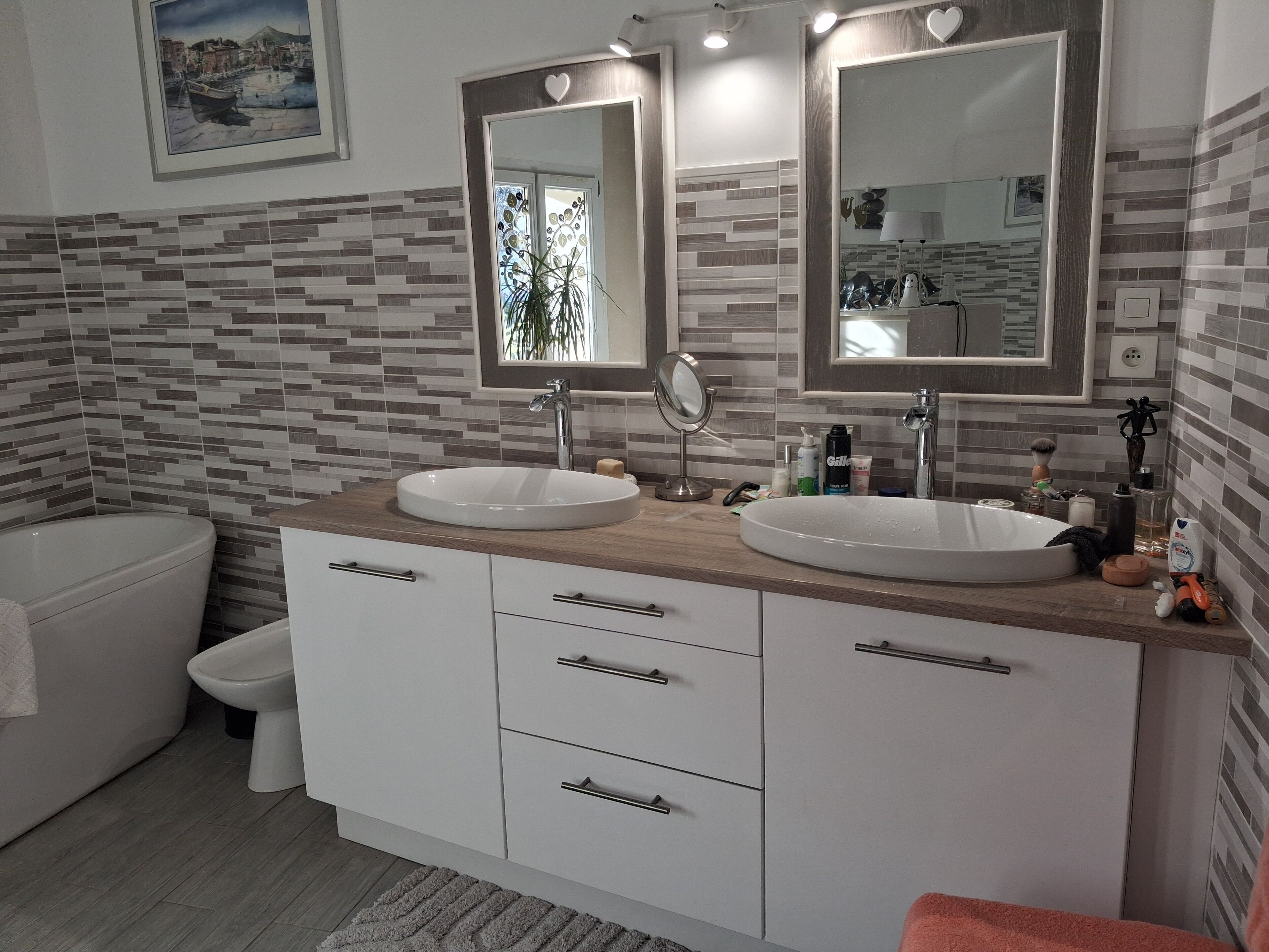 Hair dryer, towels, soap, toilet paper