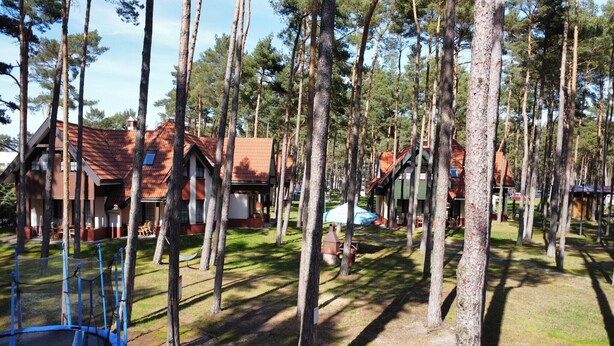 Un área boscosa con varias cabañas, un trampolín y una mesa de picnic.