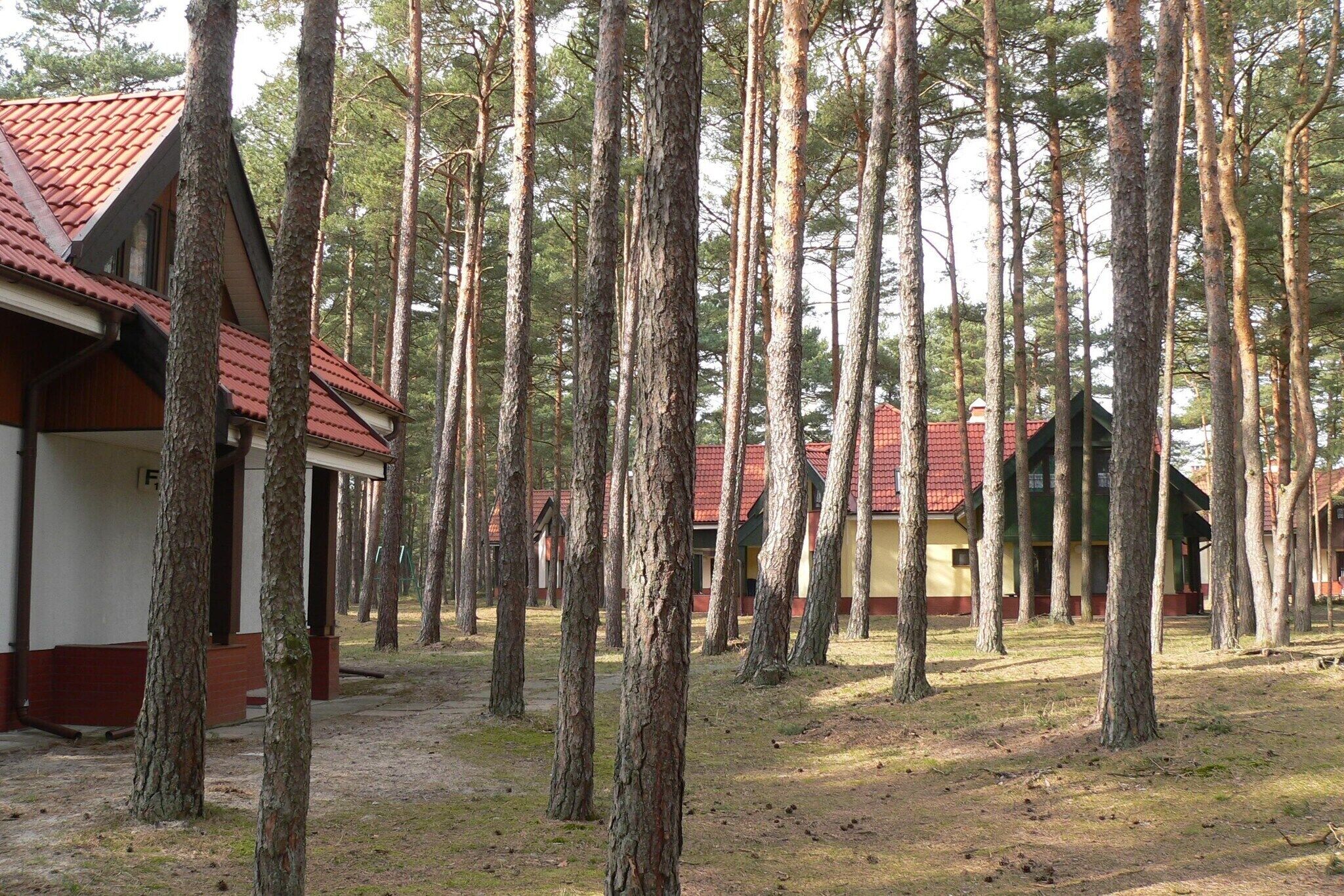 A row of cabins with red roofs, surrounded by tall trees in a forest setting.
