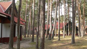 A row of cabins with red roofs, surrounded by tall trees in a forest setting.