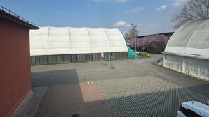 Ein Parkplatz mit Gewächshaus, Basketballkorb und einem weißen Auto.