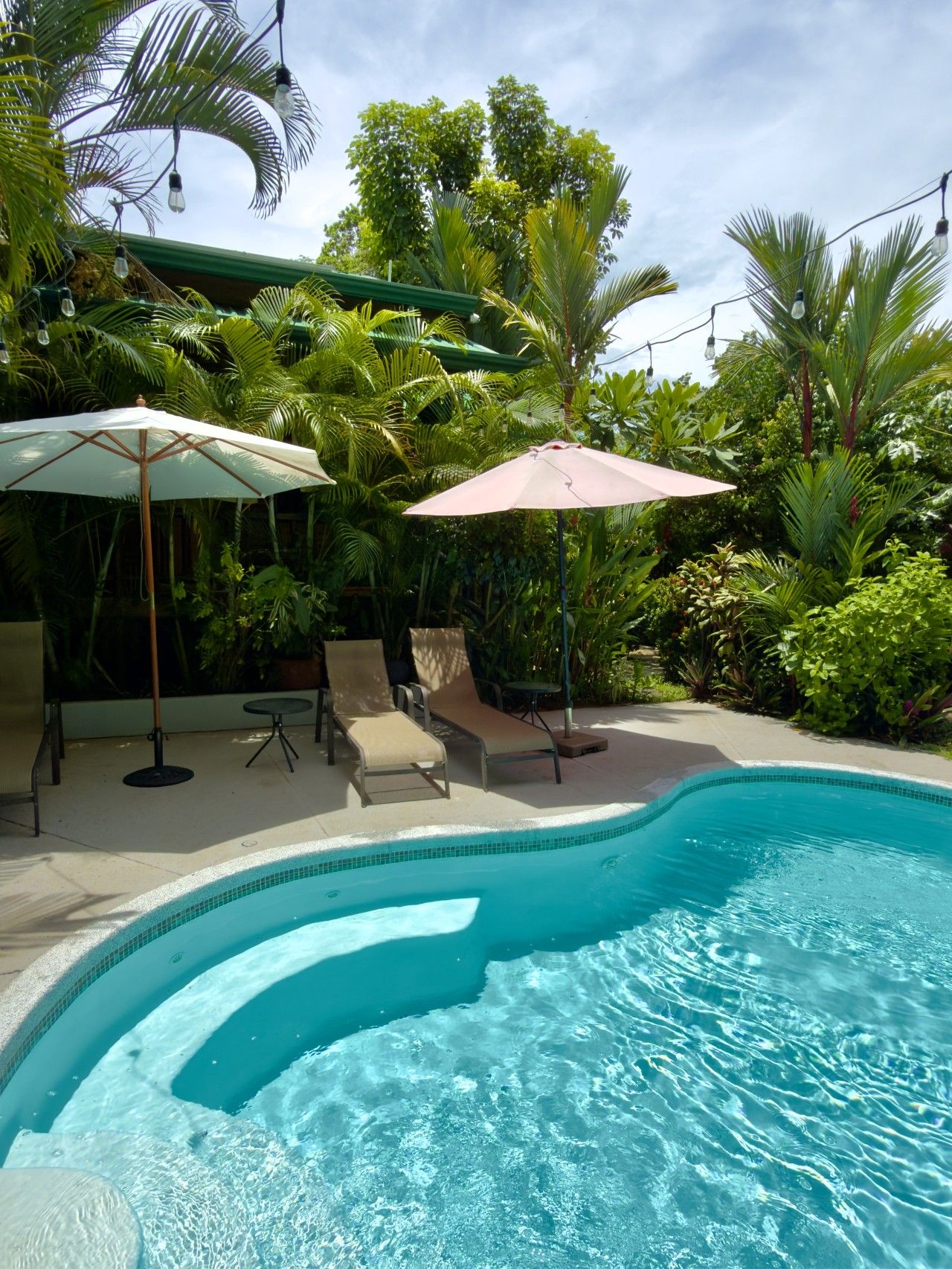 A swimming pool with lounge chairs and umbrellas, surrounded by lush greenery.