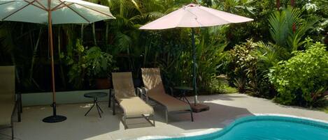 Une piscine entourée d’une végétation luxuriante, avec des chaises longues et des parasols.