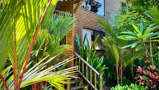 Una casa de madera con una escalera rodeada de plantas tropicales.