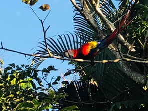 Unclassified image, 3 of 54, button